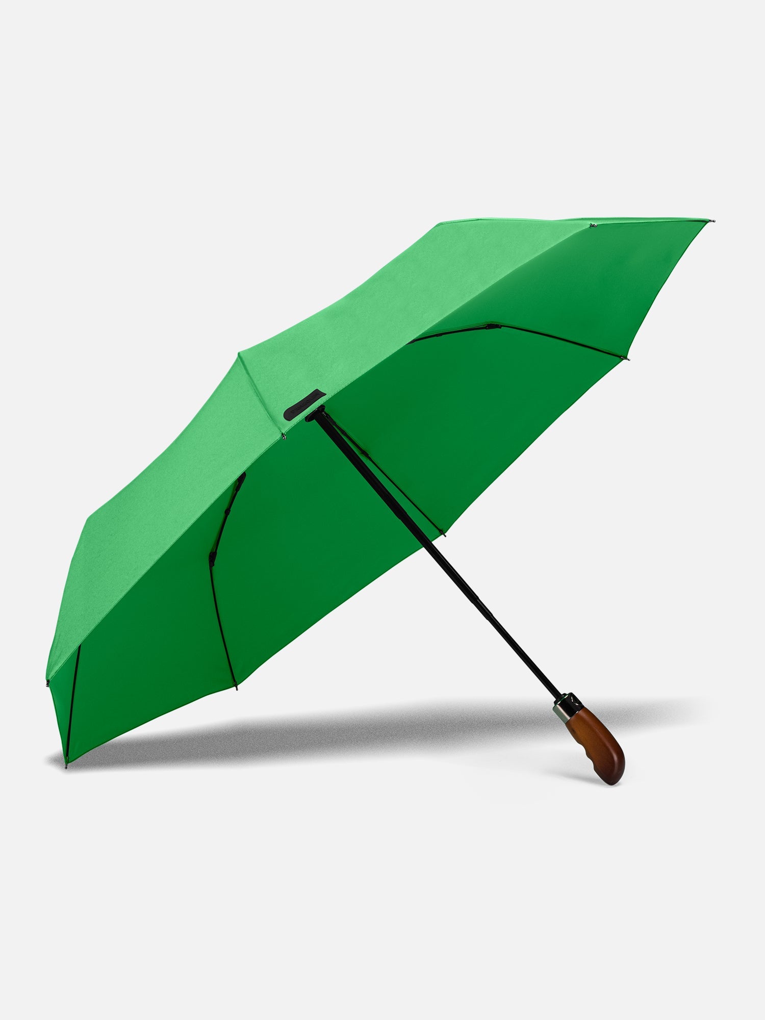 Parakeet Green
