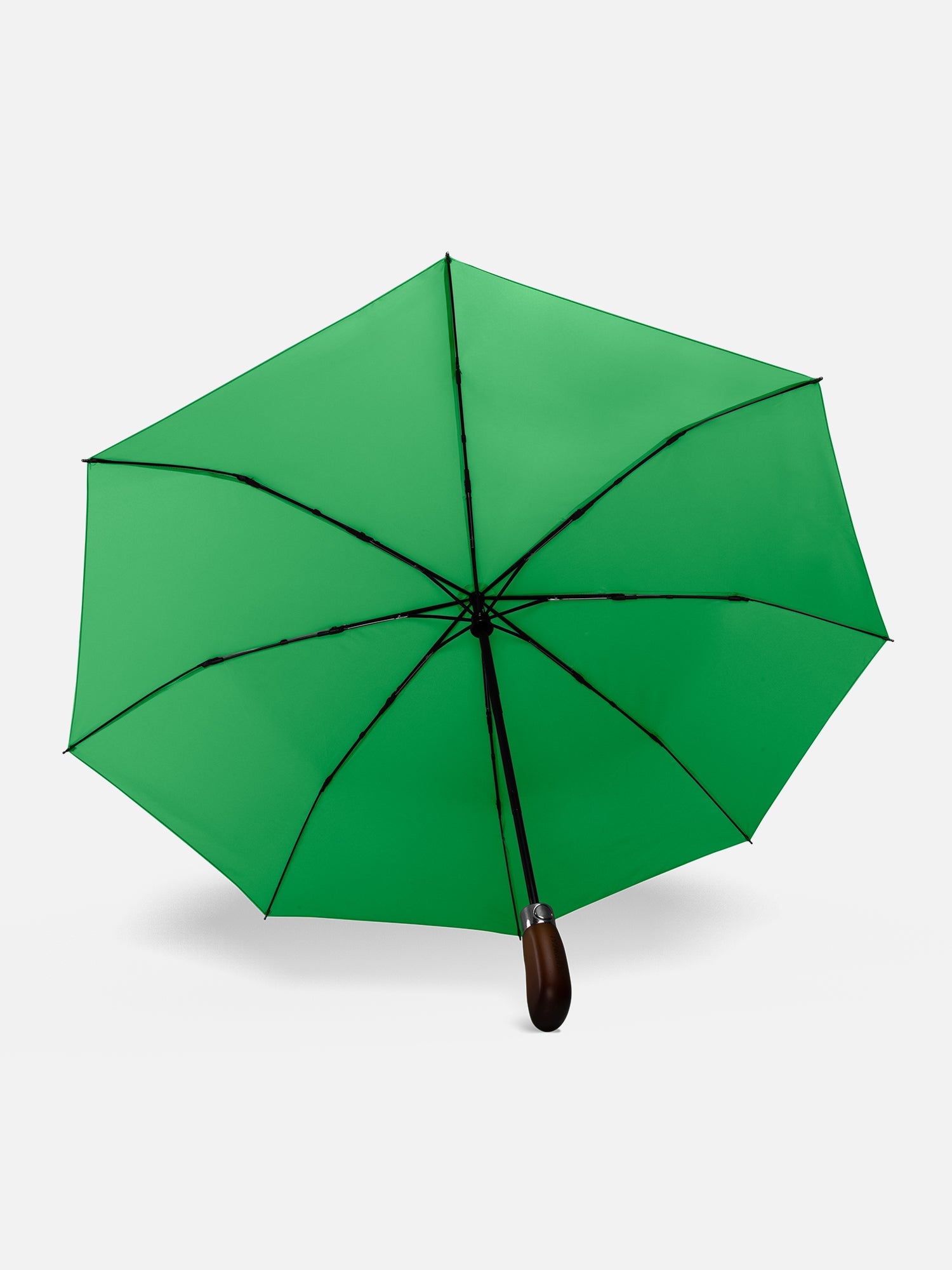 Parakeet Green