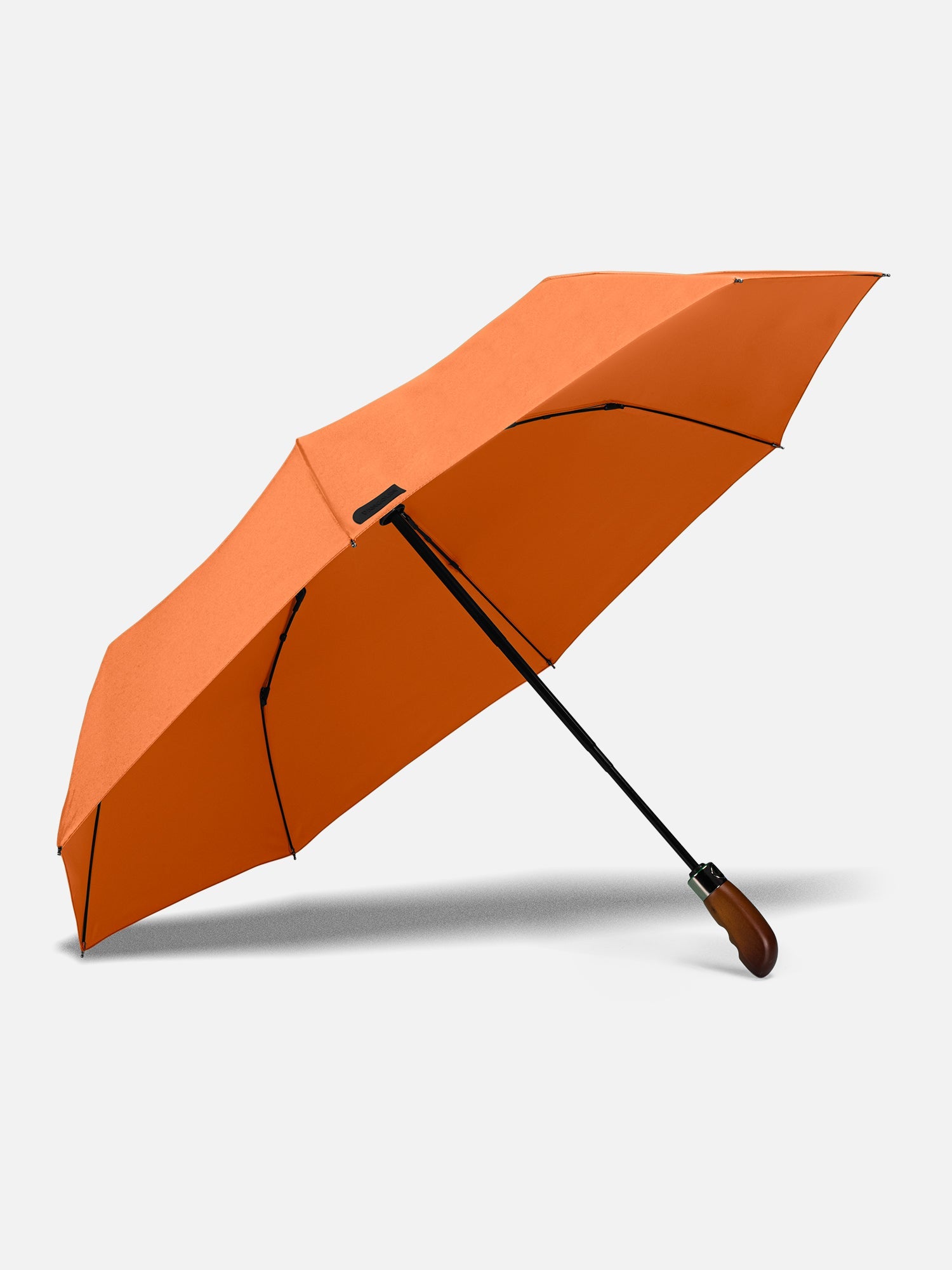 Rupicola Orange