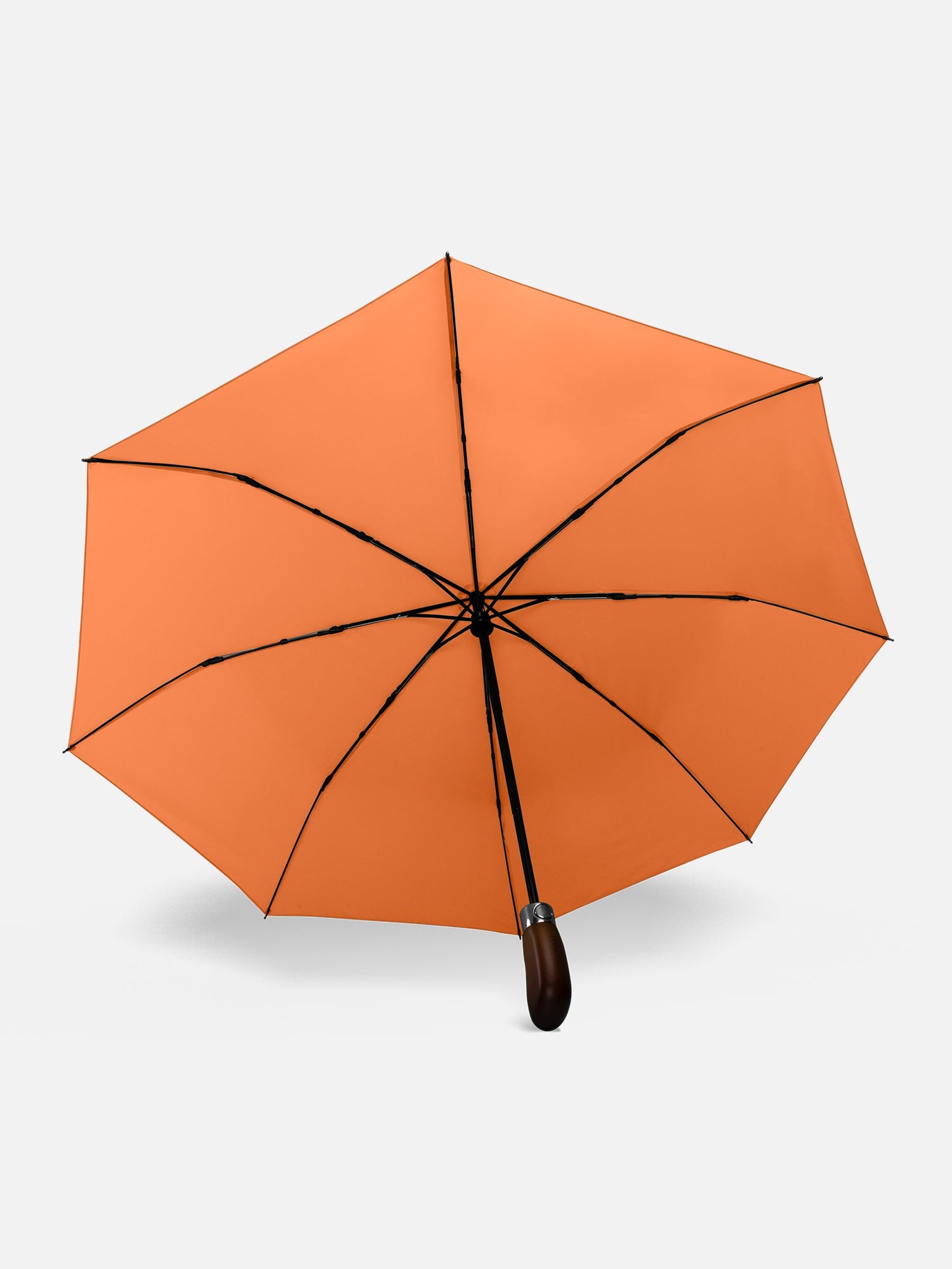 Rupicola Orange