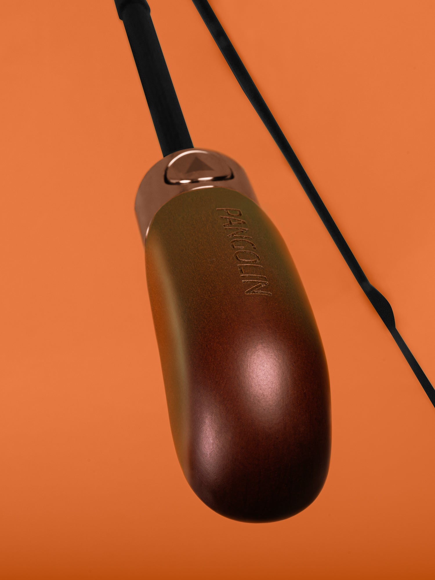 Rupicola Orange