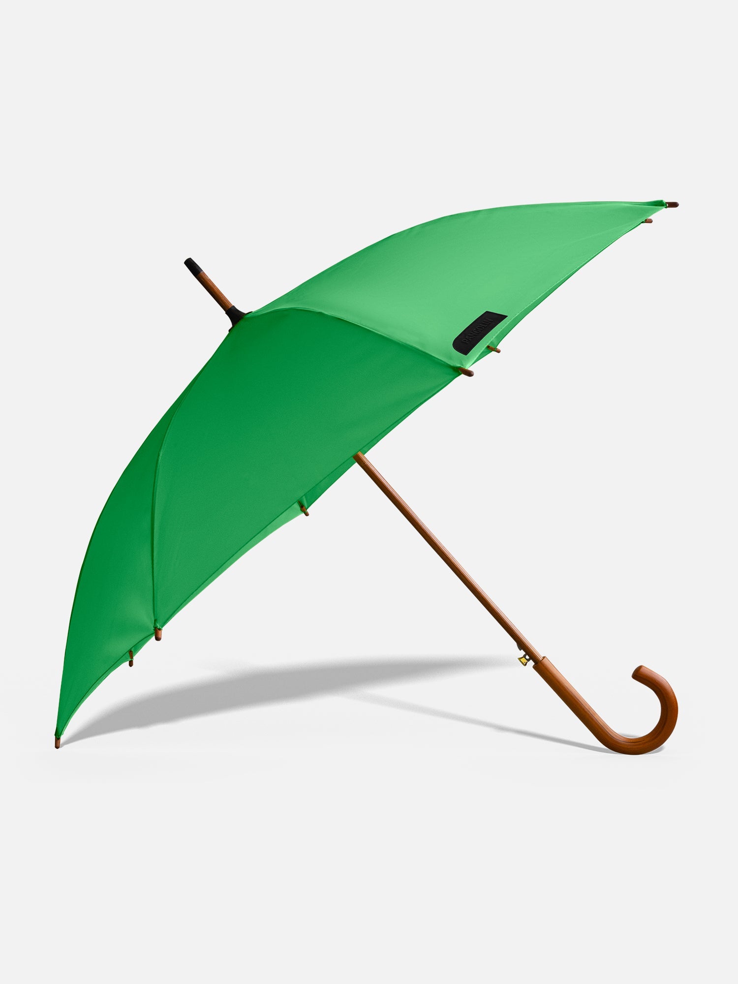 Parakeet Green