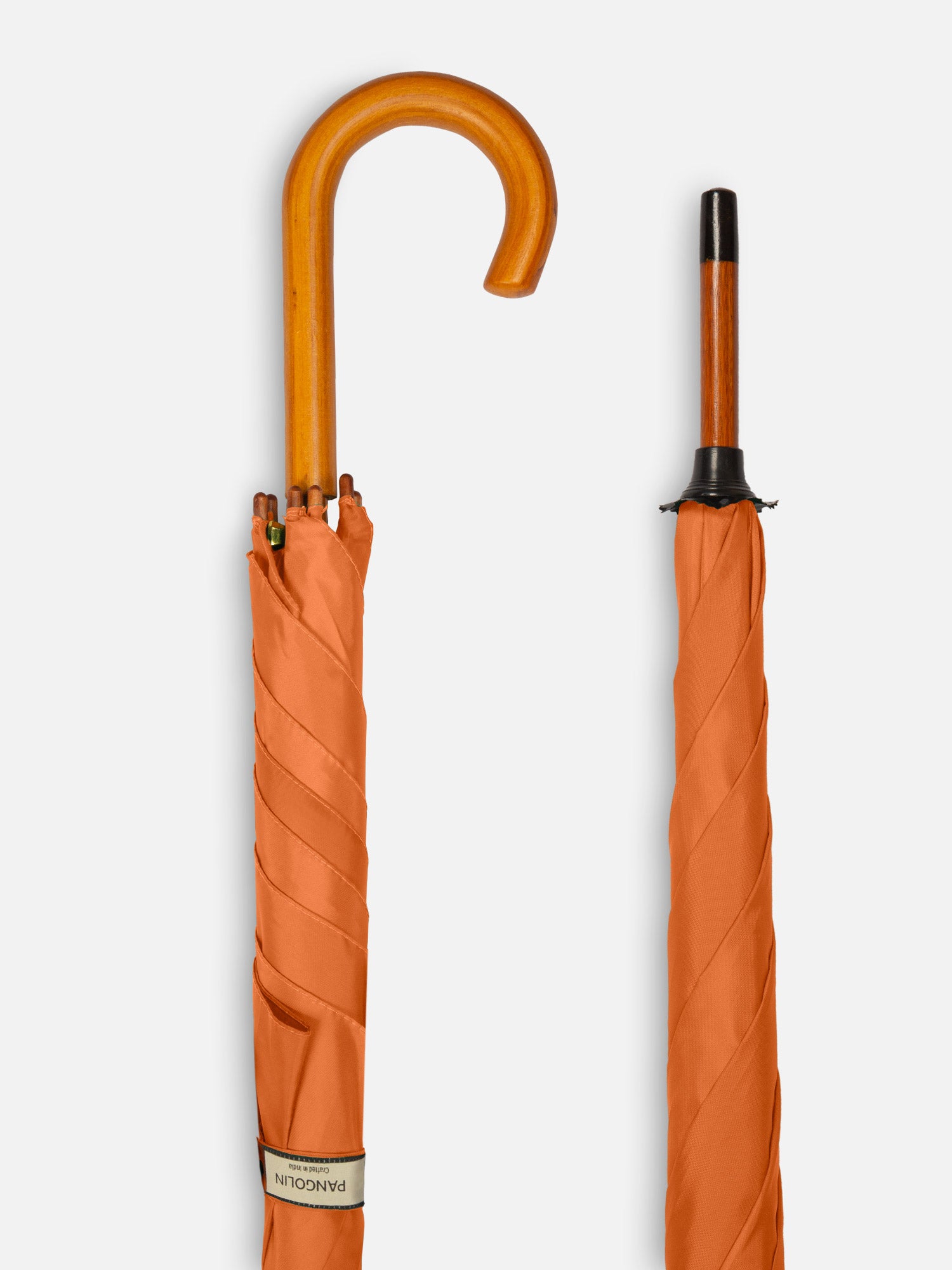 Rupicola Orange