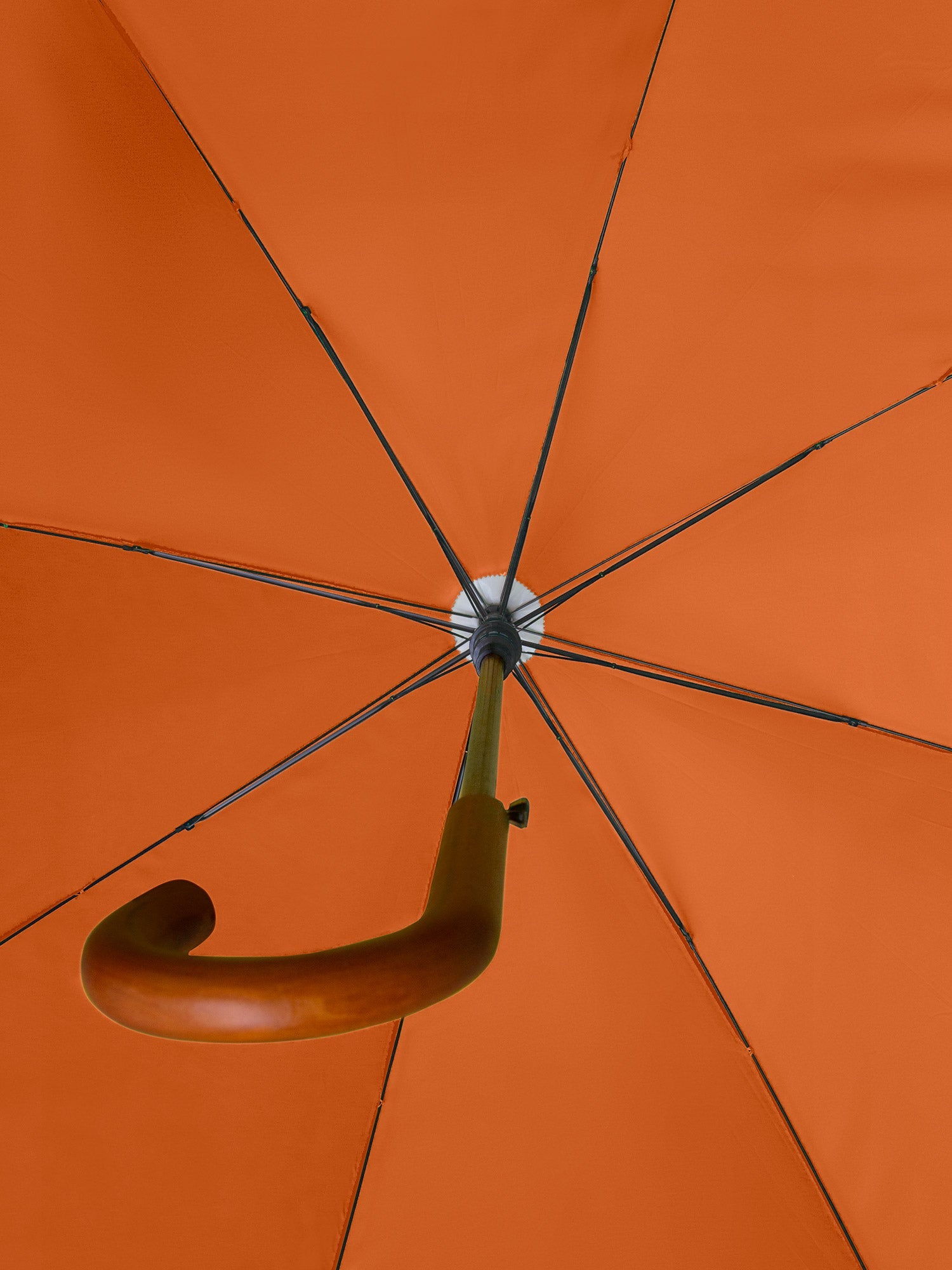 Rupicola Orange