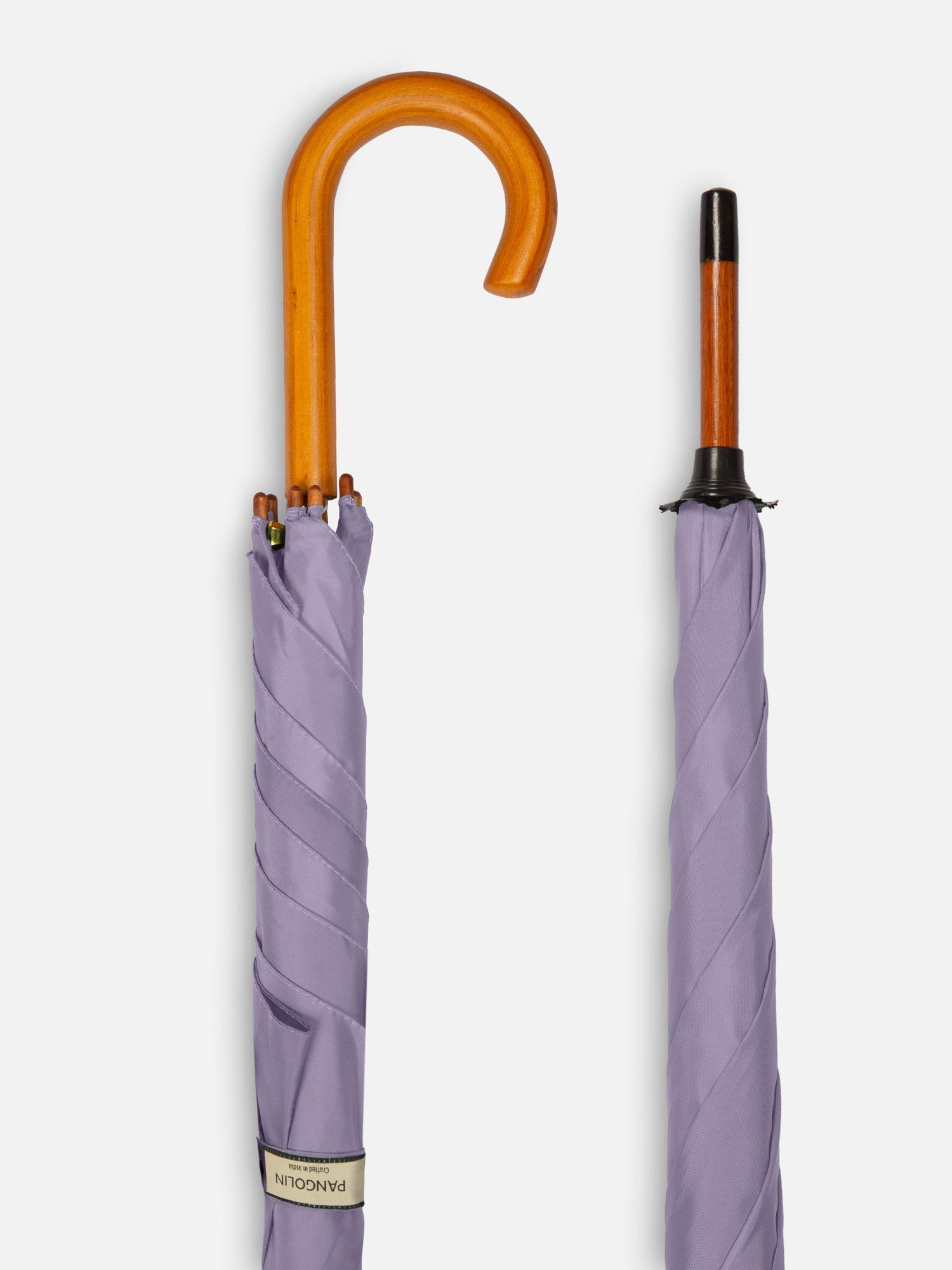 Sea Snail Purple