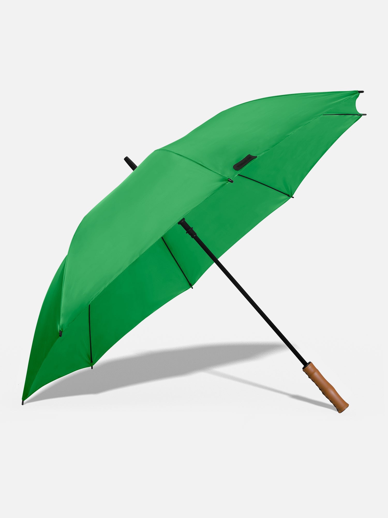Parakeet Green
