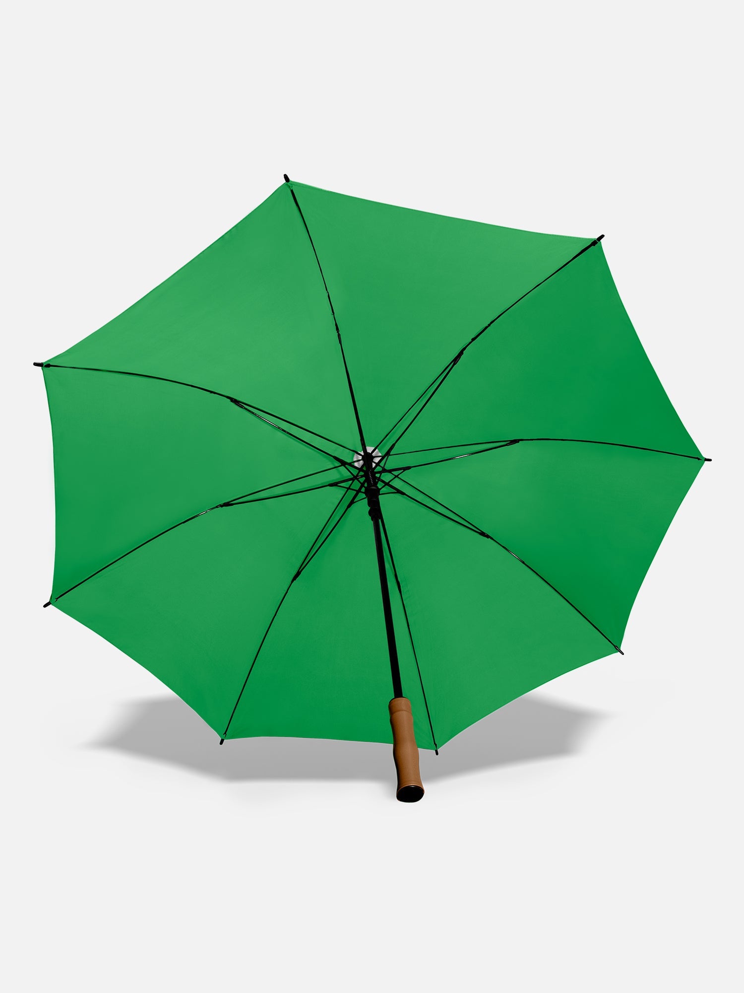 Parakeet Green