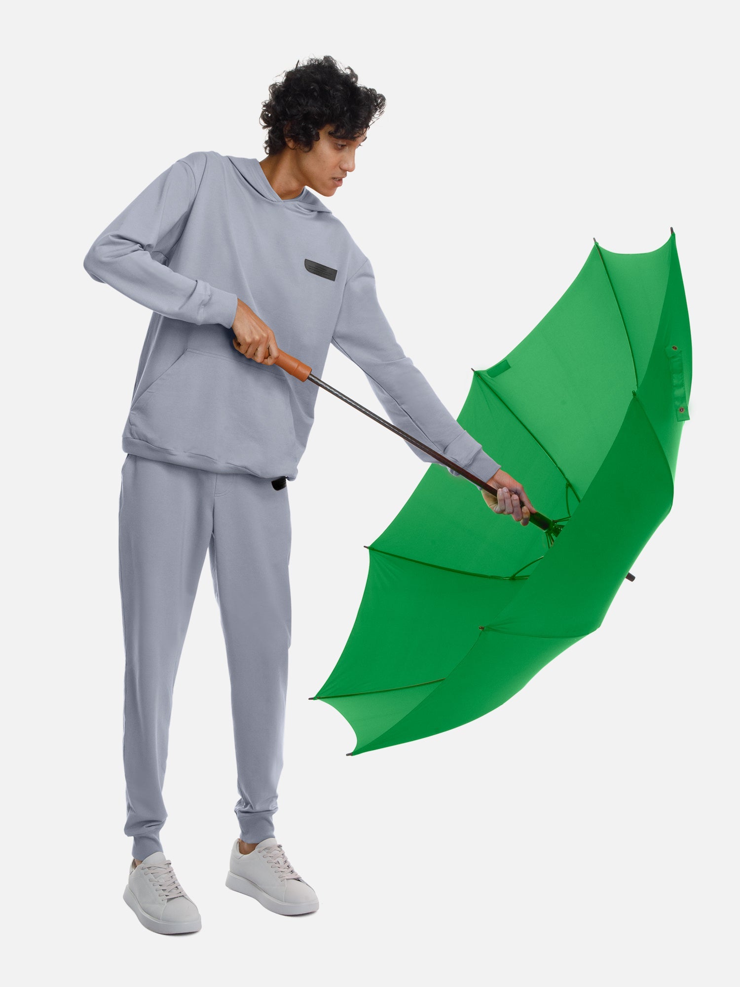 Parakeet Green