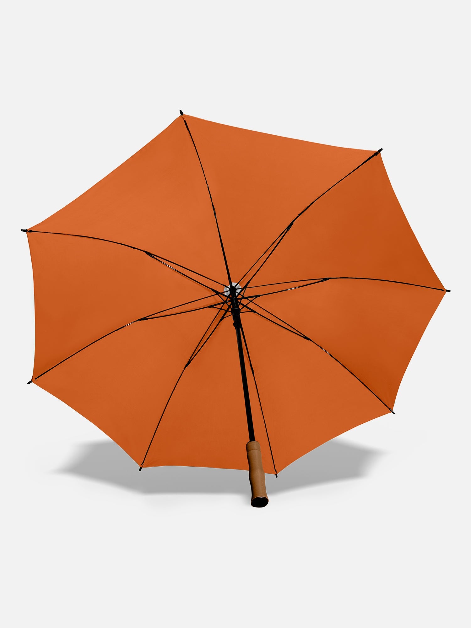Rupicola Orange