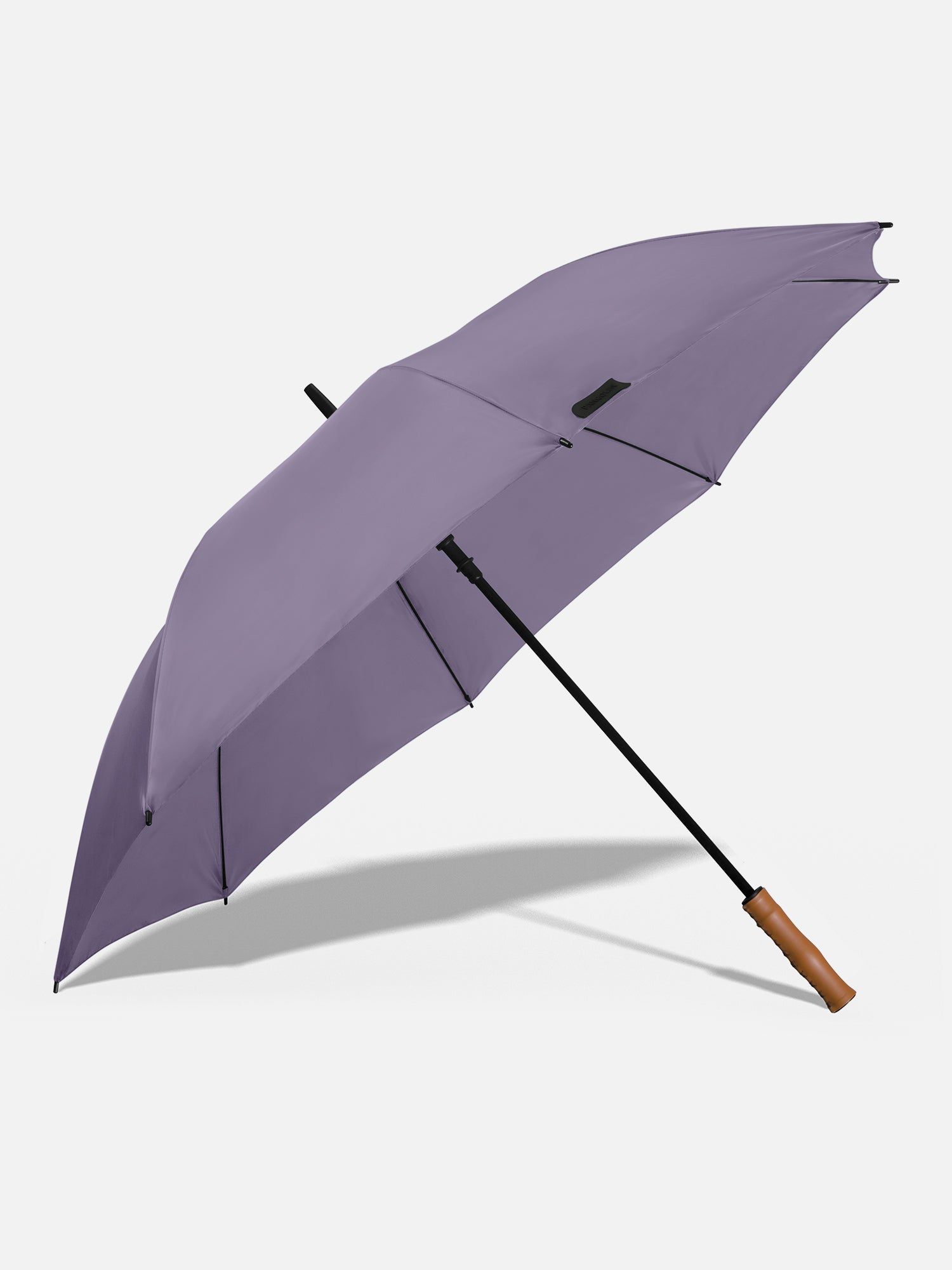 Sea Snail Purple