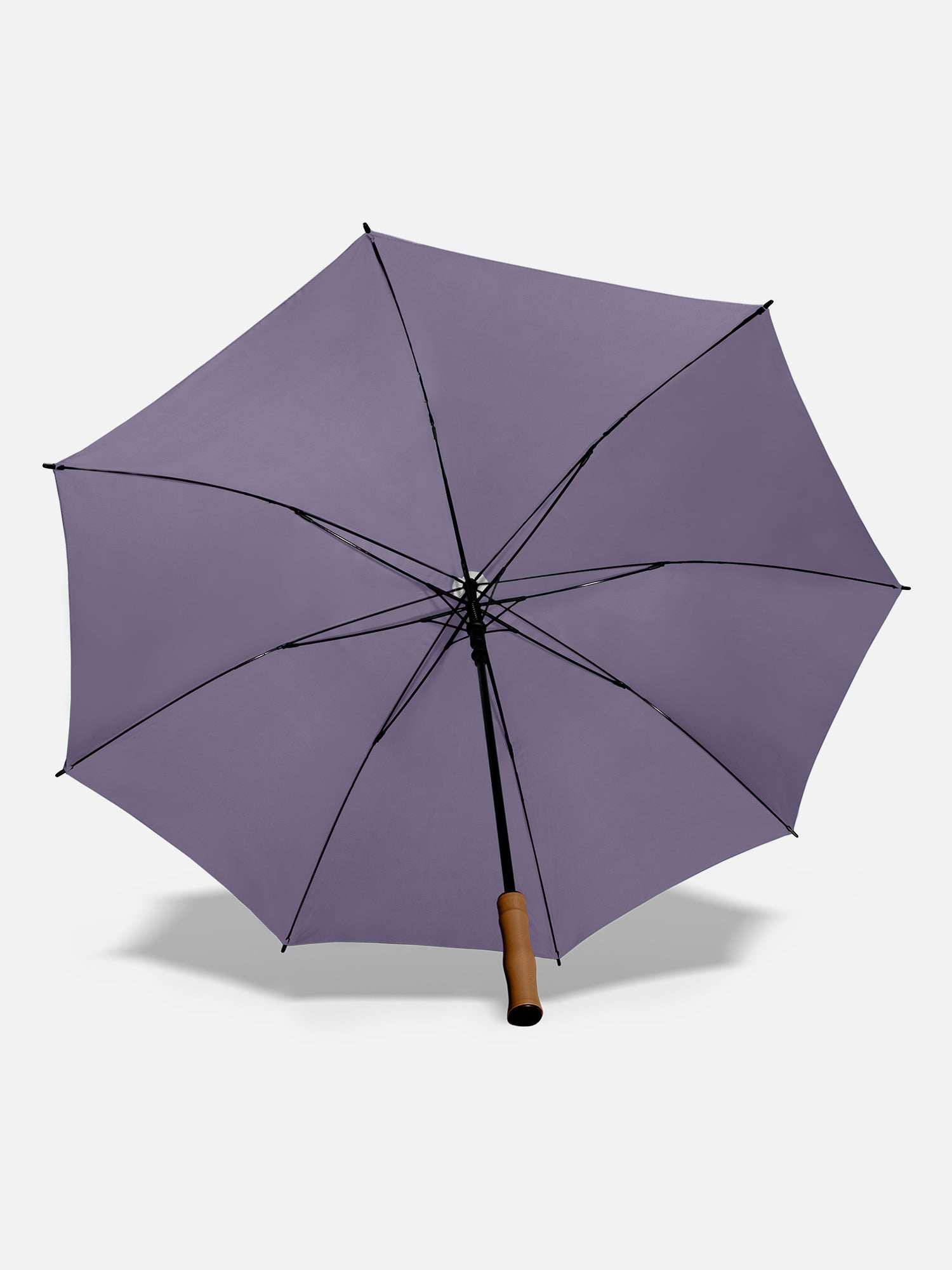 Sea Snail Purple